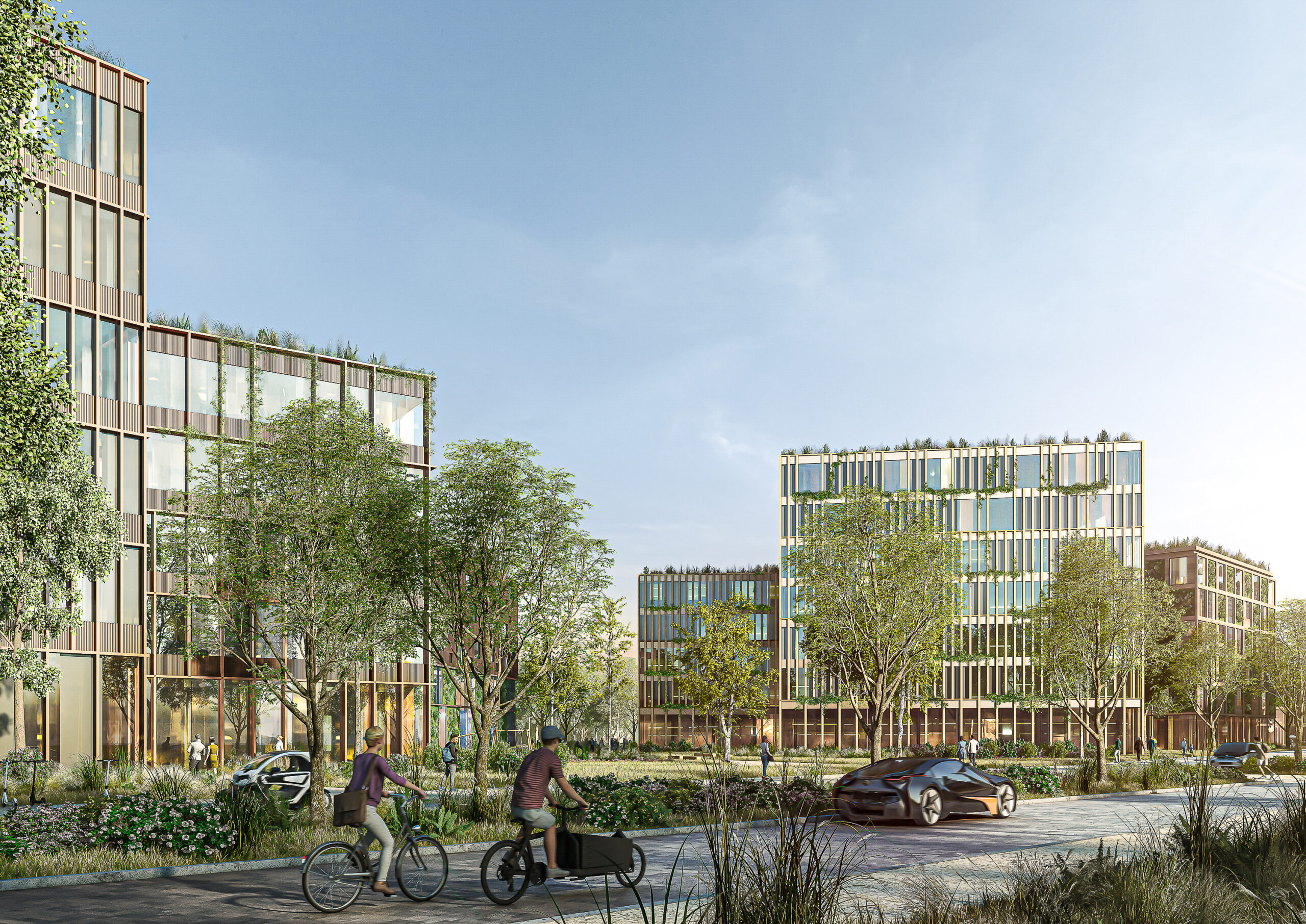 Projektentwicklung PHYLL | Bad Vilbel